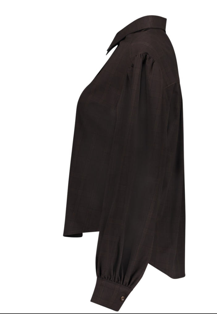 Blouse fijne ruit - bruin