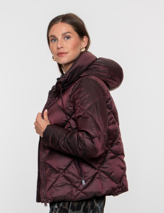Short jacket with hood - Aubergine