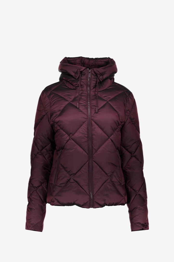 Short jacket with hood - Aubergine