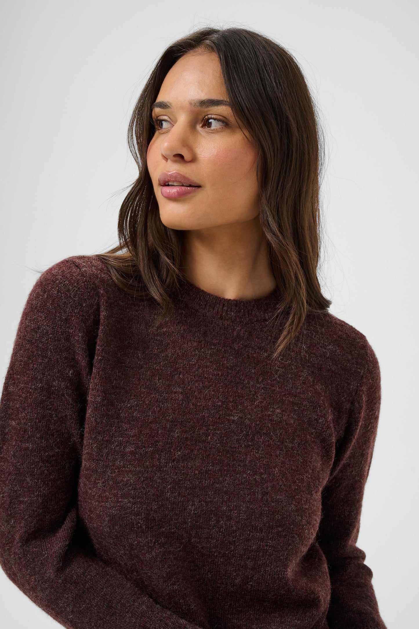 Niel crew neck pullover - fudge