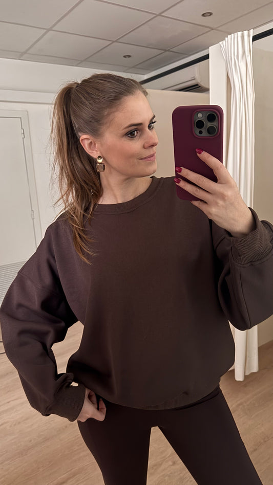 Basic sweaters - bruin