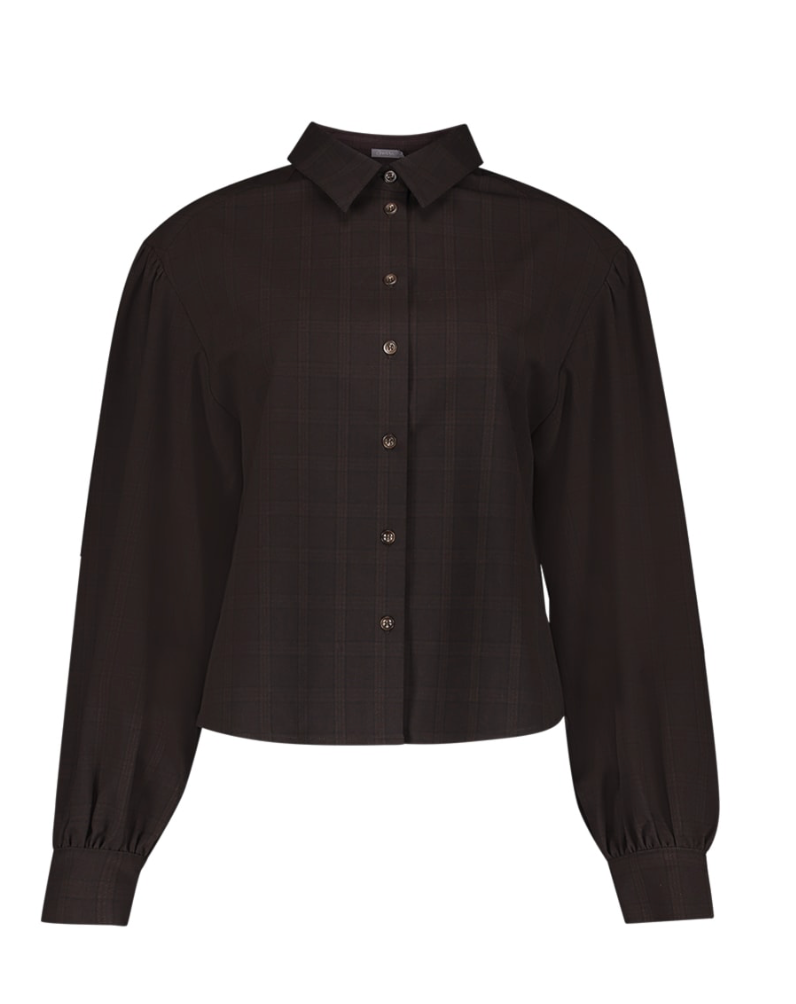Blouse fijne ruit - bruin